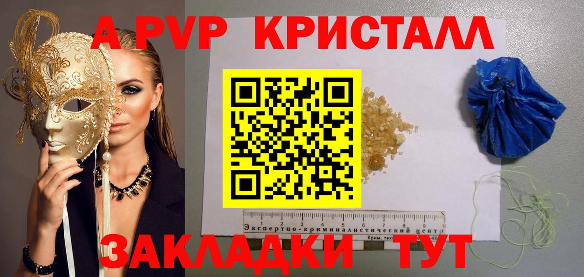 A PVP СК КРИС Архангельск