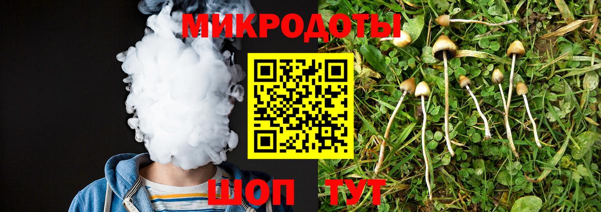 Псилоцибиновые грибы ЛСД Архангельск